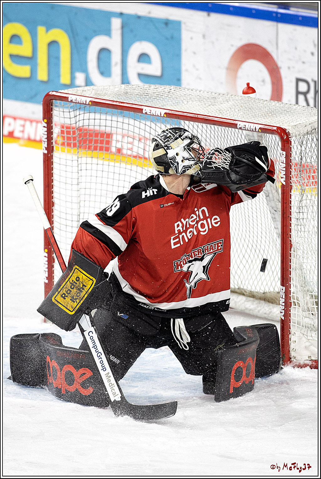 PENNY DEL;  Koelner Haie - Duesseldorfer EG ; Koeln, 16.01.2022